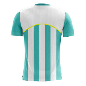 Custom Sublimation Printing Polyester Soccer Jersey | Sports T-shirts