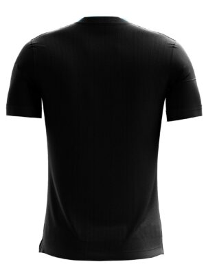 Independence and Republic Day T-Shirts for Boys / Mens