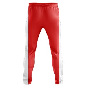 Cricket Pant for Men’s | Cricket Team Player Trousers Bottom Wear